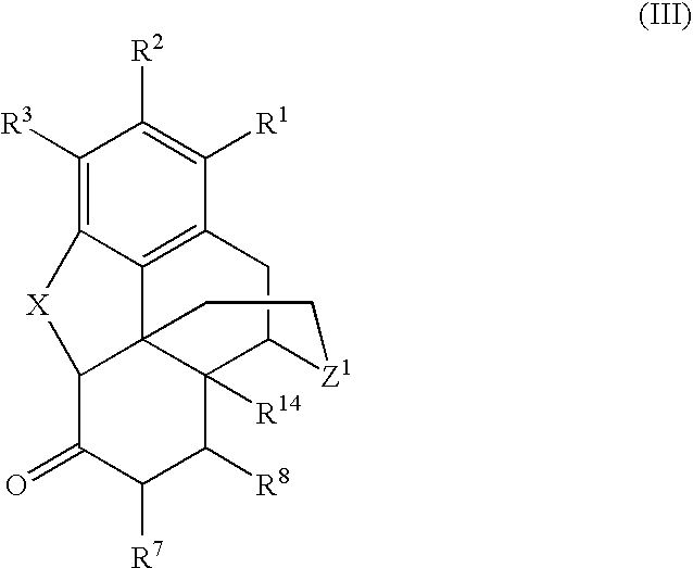 Processes for the selective amination of ketomorphinans