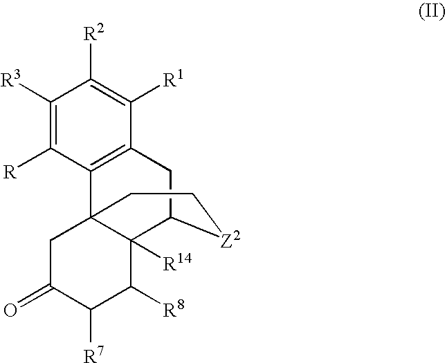 Processes for the selective amination of ketomorphinans