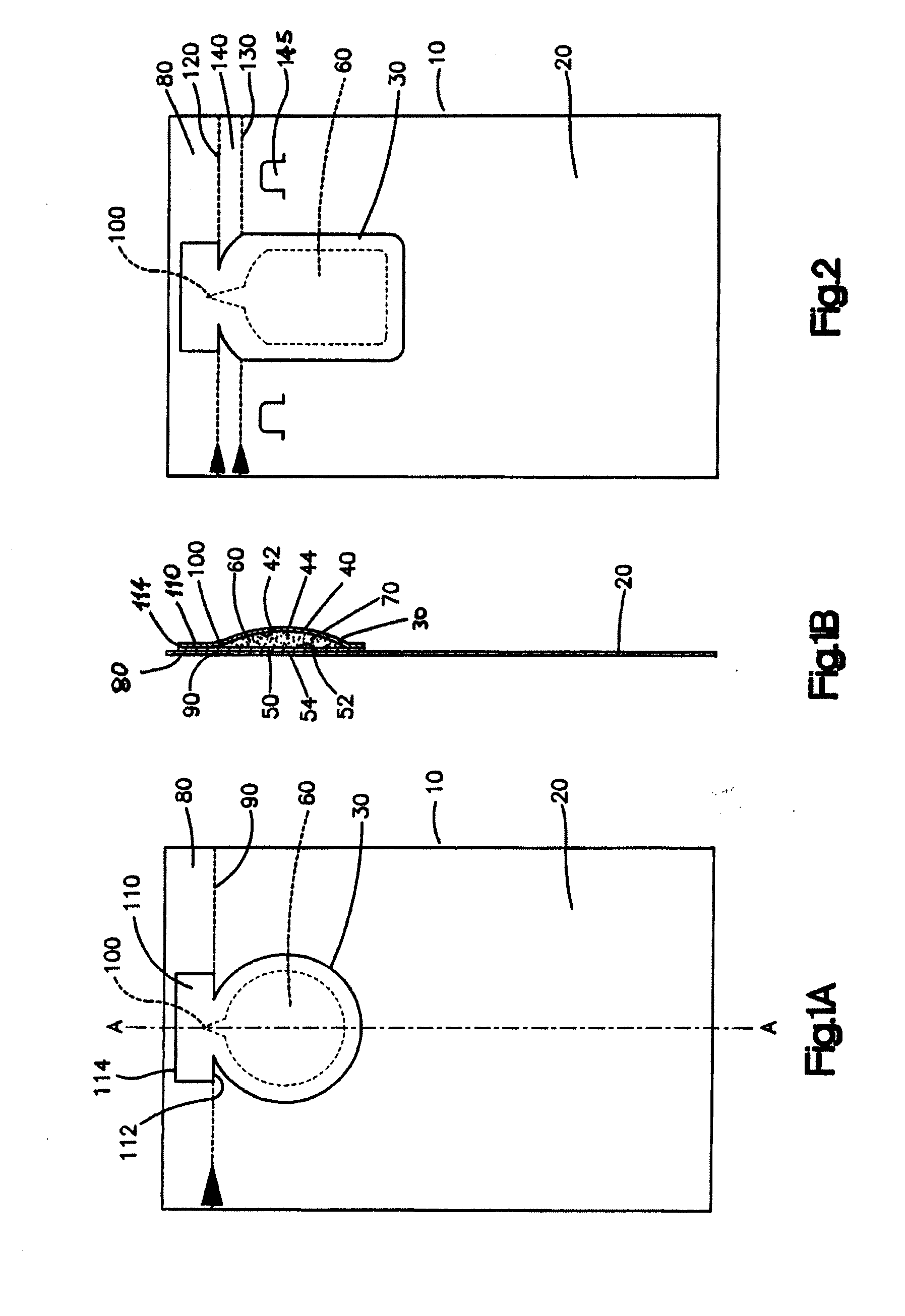 Unitized package and method of making same