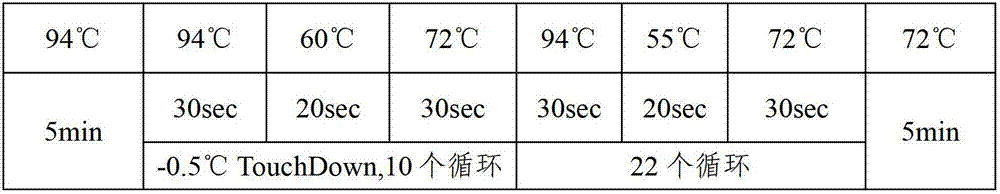 Blood sample collection card for disease screening and kit comprising same