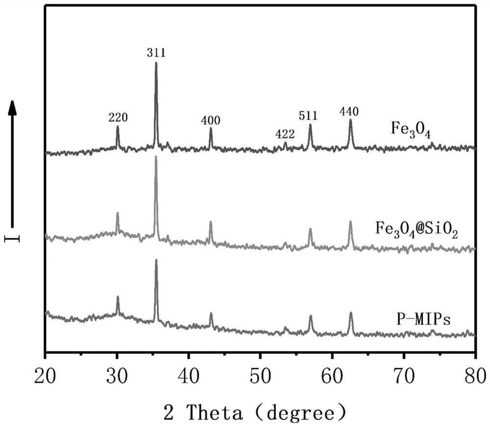 A preparation method and application of a photoresponsive imprinted material based on magnetic iron ferric oxide nanoparticles