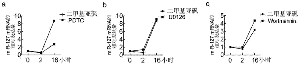 Application of mir‑127 inhibitors in anti-inflammatory and lung injury protection drugs