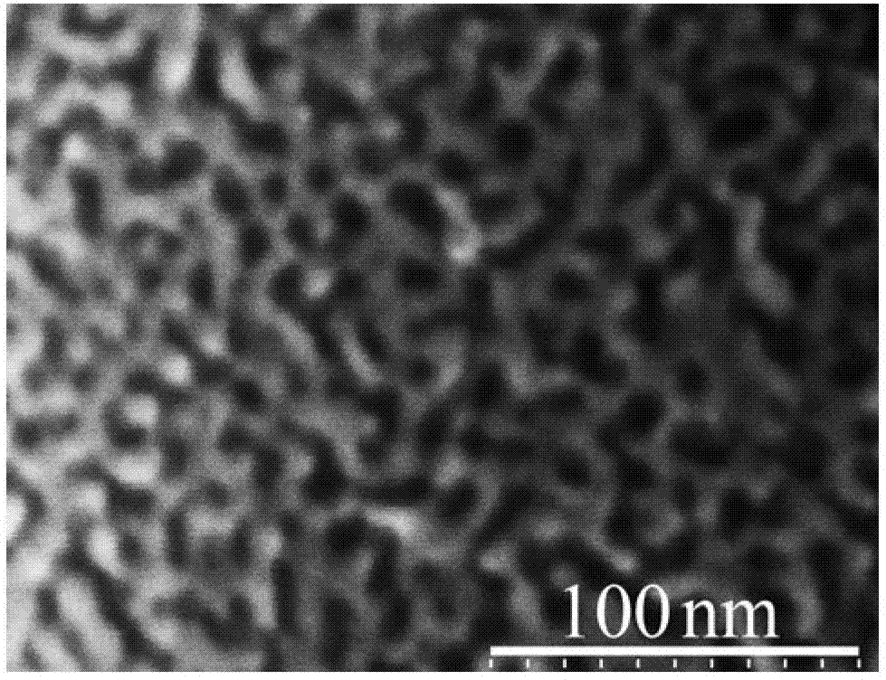 Nano-porous Pd material with electrooxidation catalytic performances and preparation method