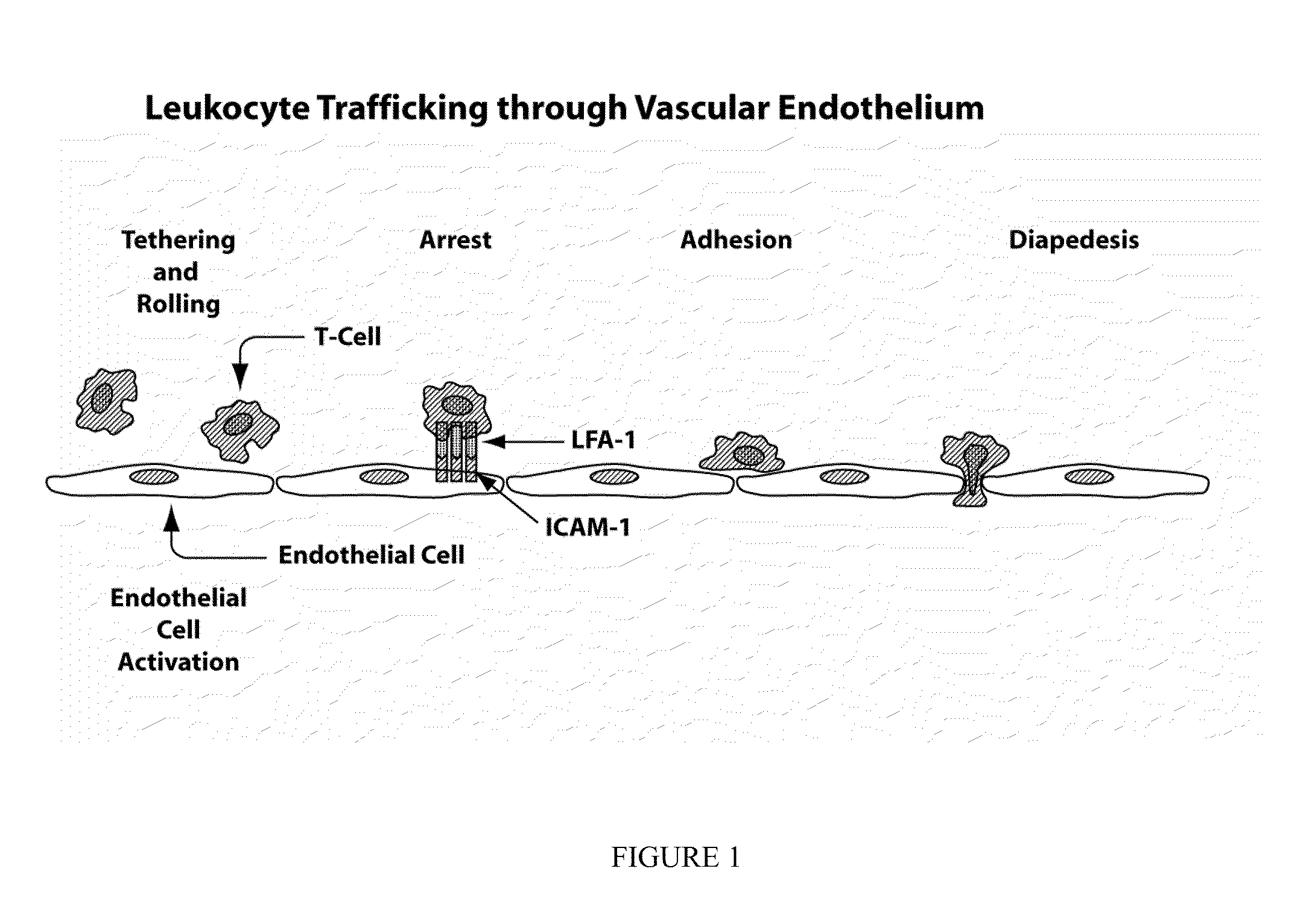 Compositions and methods for treatment of eye disorders