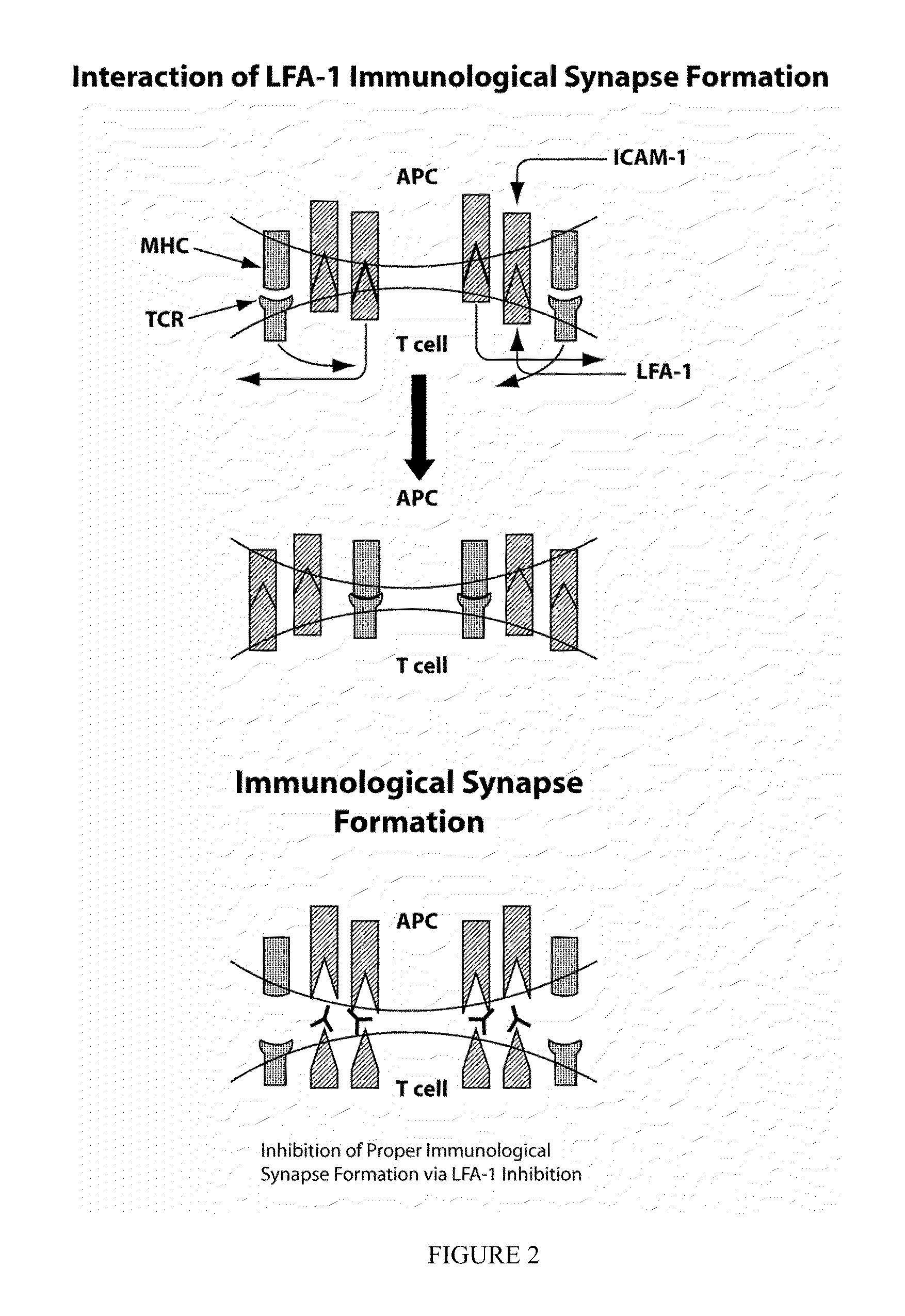 Compositions and methods for treatment of eye disorders