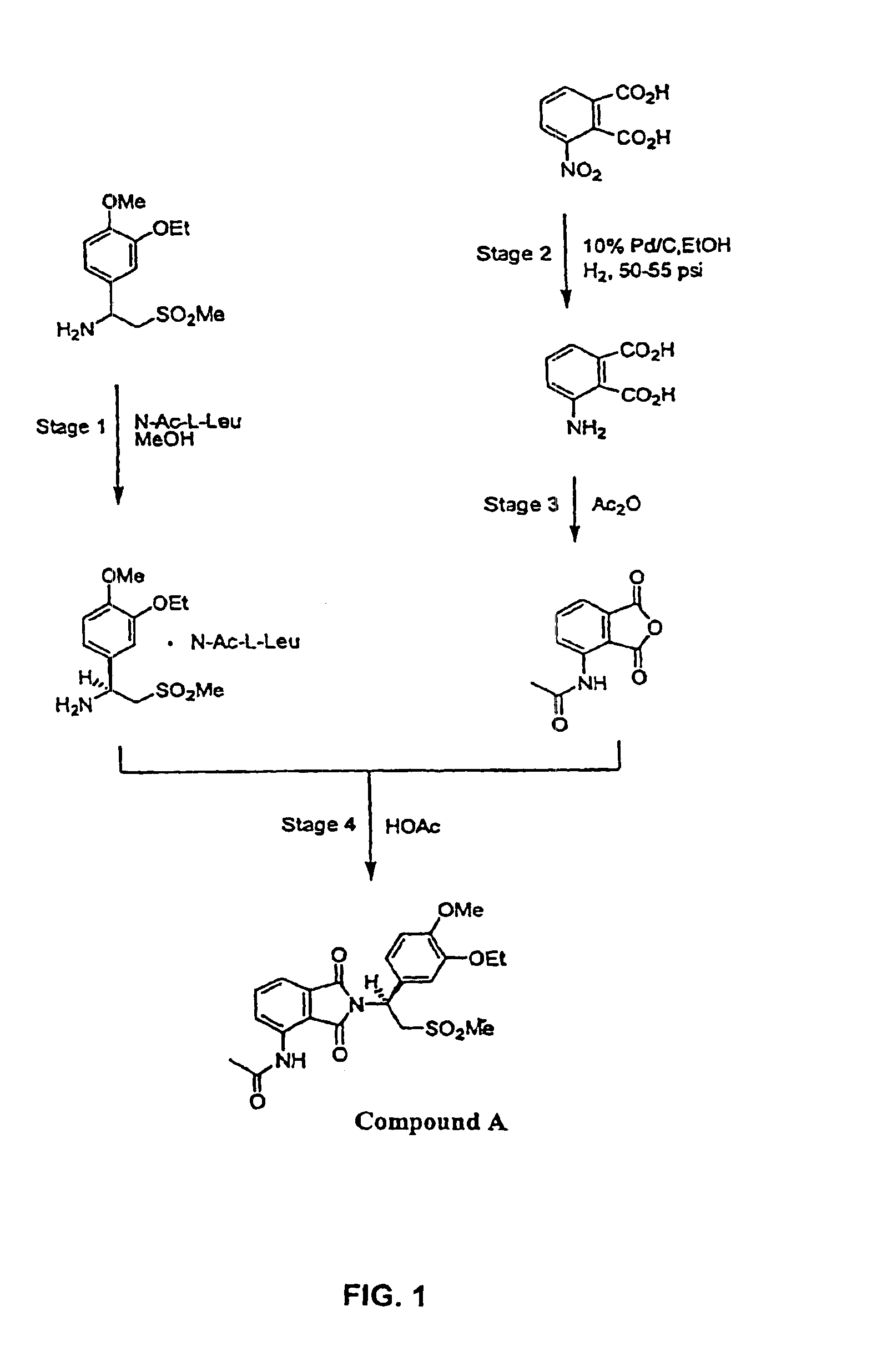 (+)-2-[1-(3-Ethoxy-4-methoxyphenyl)-2-methylsulfonylethyl]-4-acetylaminoisoindoline-1,3-dione: methods of using and compositions thereof