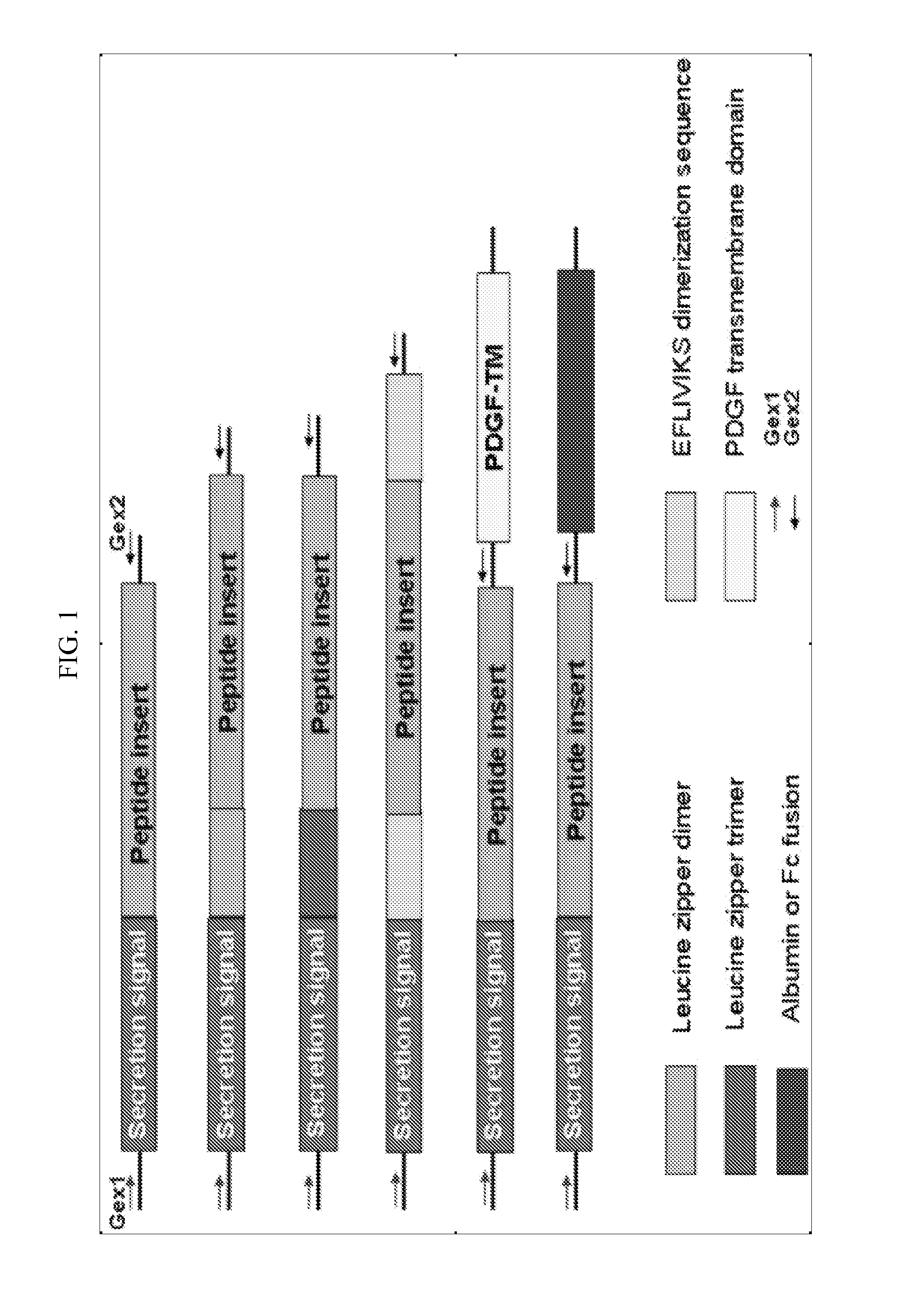 Reagents and Methods for Producing Bioactive Secreted Peptides