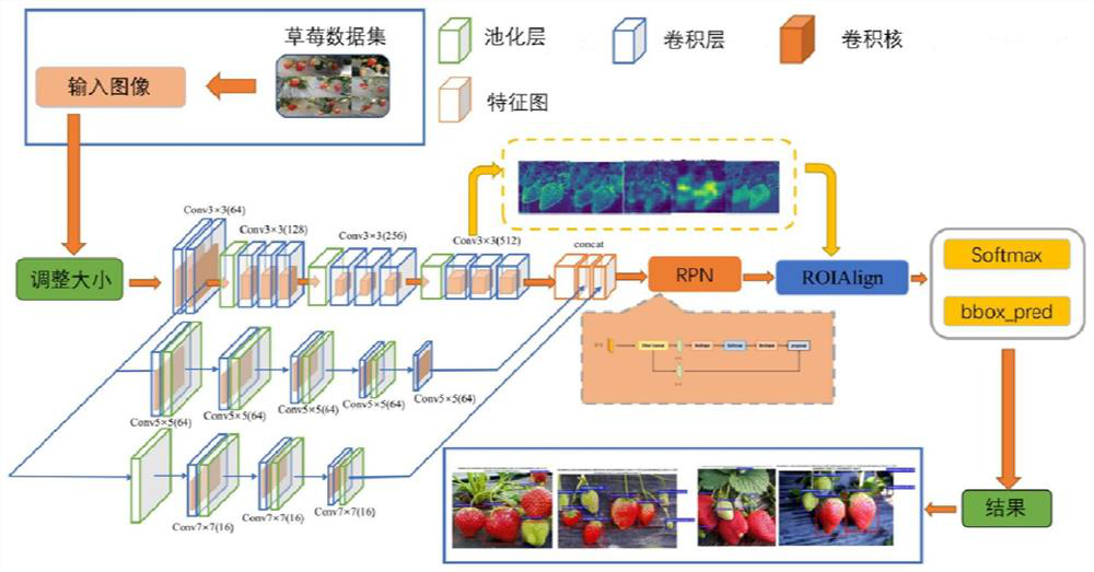 Establishment method and application of strawberry identification and counting model