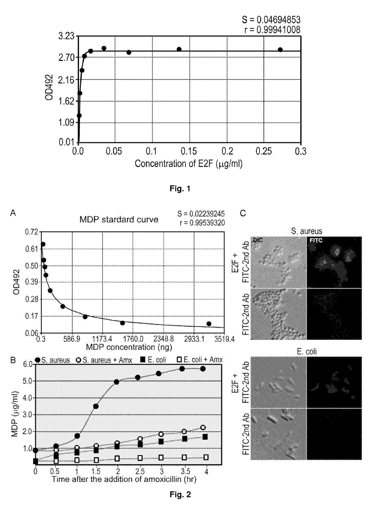 Monoclonal antibody against muramyl peptides in prevention and treatment of immune-mediated diseases