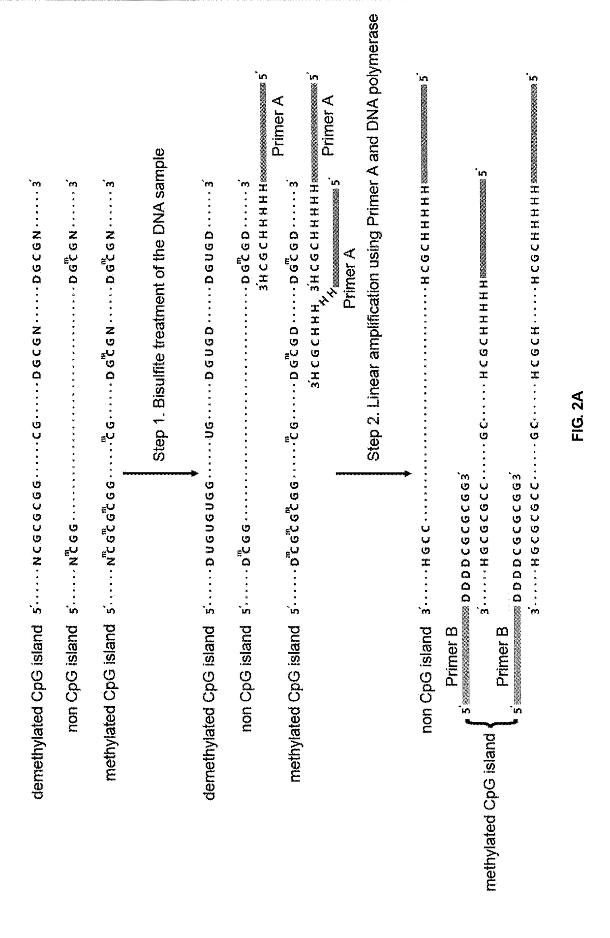 Method for detecting differentially methylated cpg islands associated with abnormal state of human body