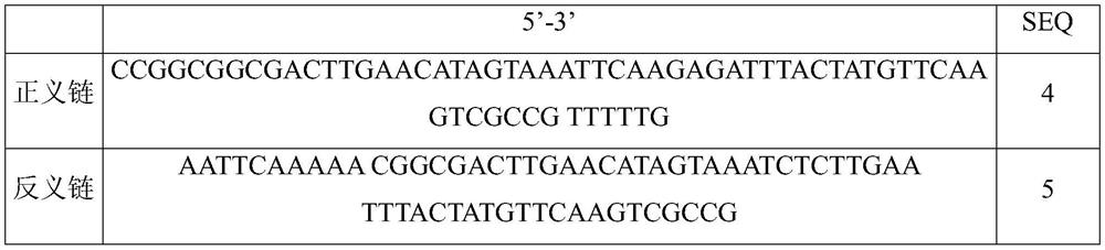Application of human SUN3 gene and related products