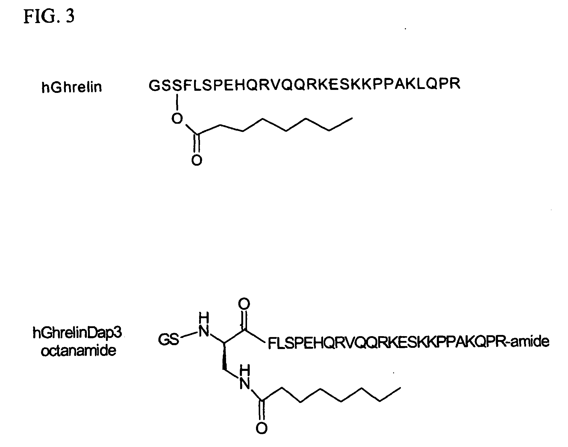 Anti-ghrelin fab antibodies