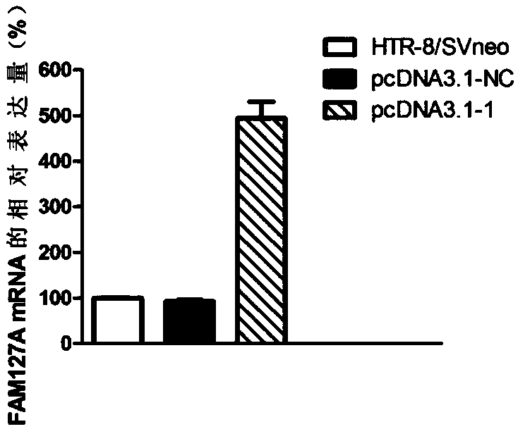 Application of FAM127A in pregnancy diseases