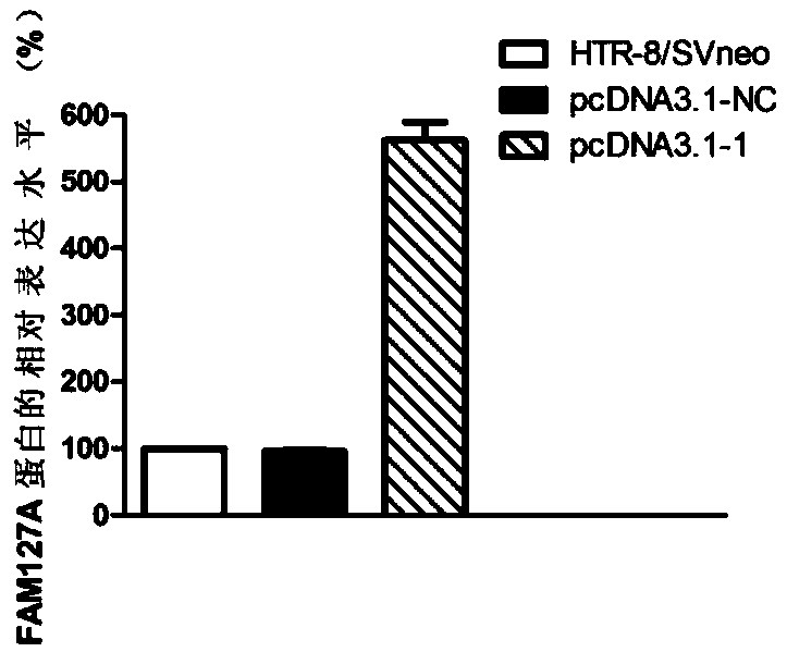 Application of FAM127A in pregnancy diseases