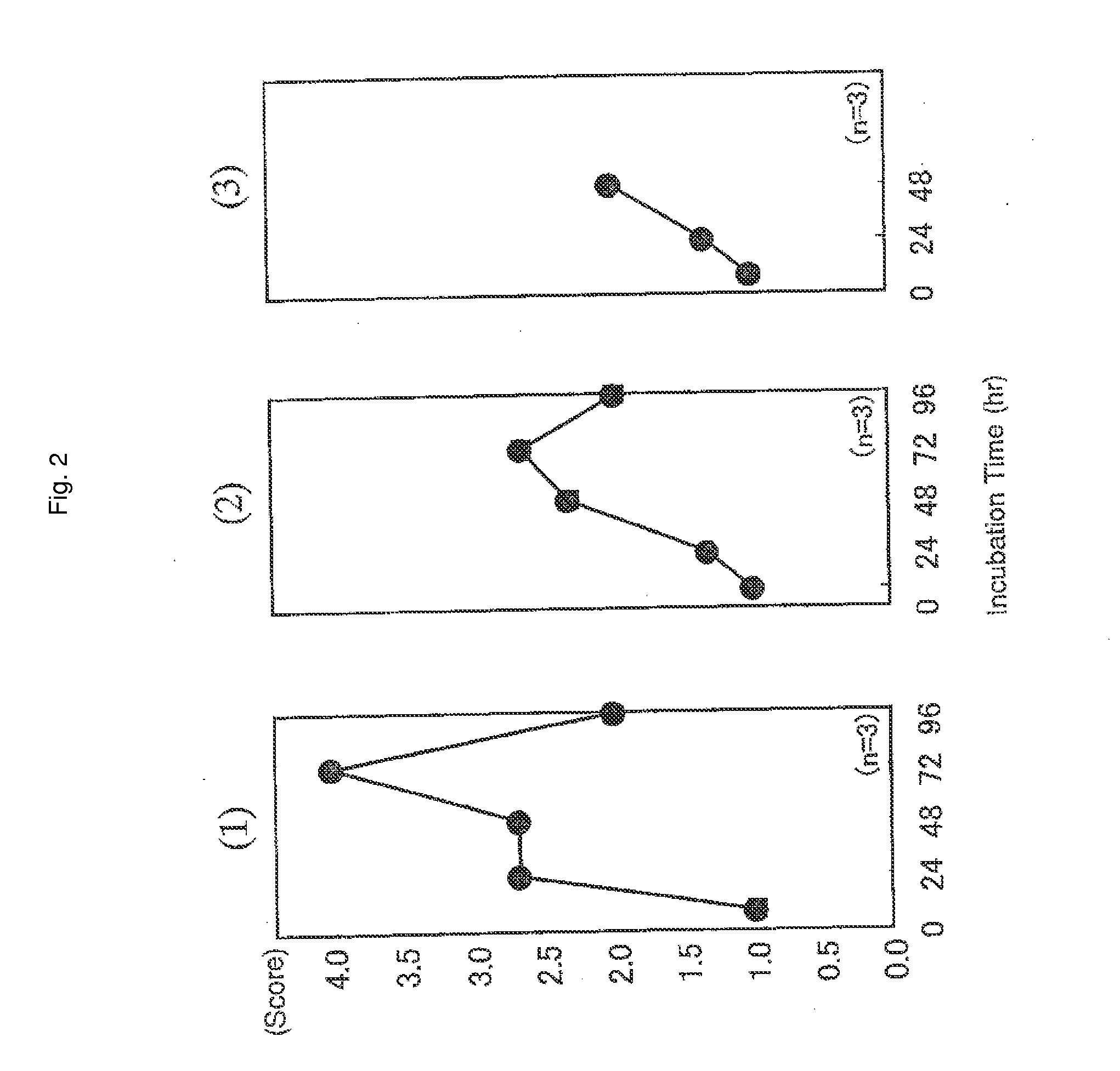 Equol-producing lactic acid bacteria-containing composition