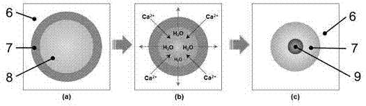 Method for preparing monodisperse calcium alginate microspheres based on emulsion liquid film mass transfer
