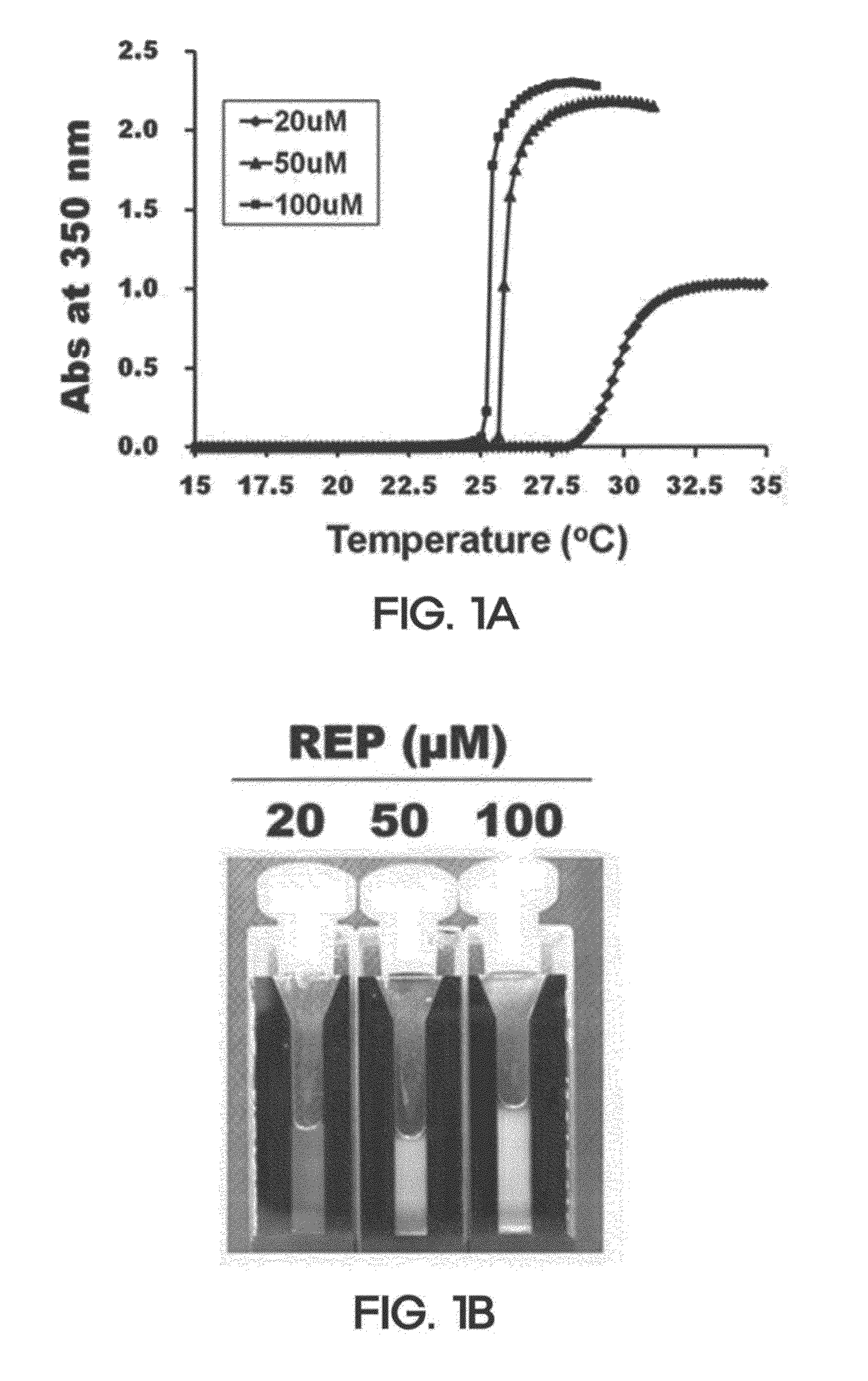 Composition for wound-healing comprising adult stem cells and elastin-like polypeptides