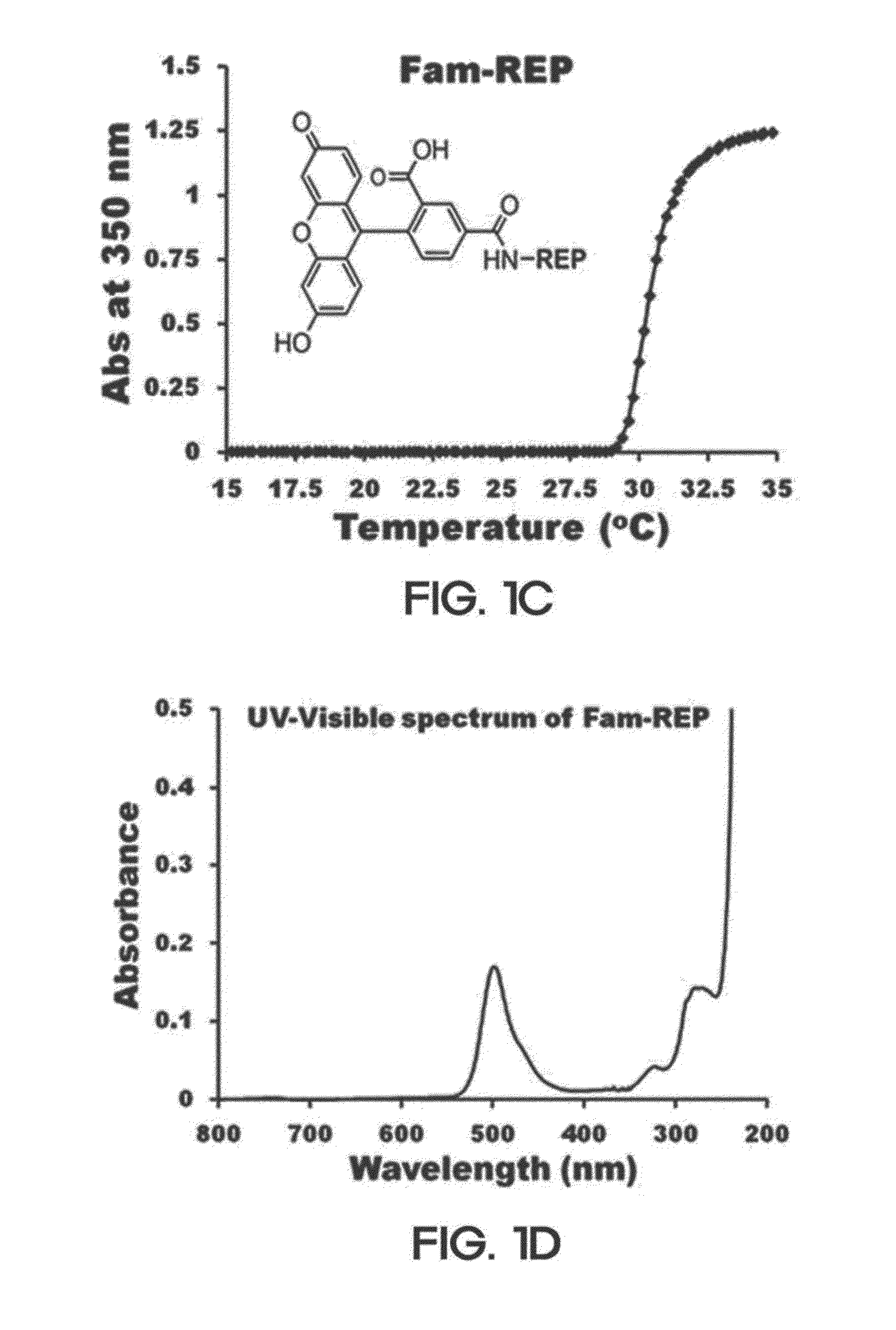 Composition for wound-healing comprising adult stem cells and elastin-like polypeptides