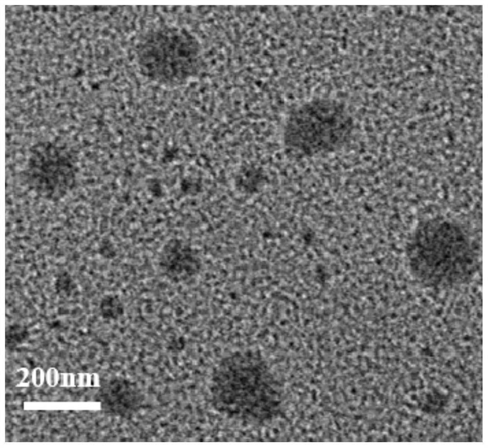 A biomimetic multifunctional nano-preparation based on cancer cell membrane and its preparation method and application