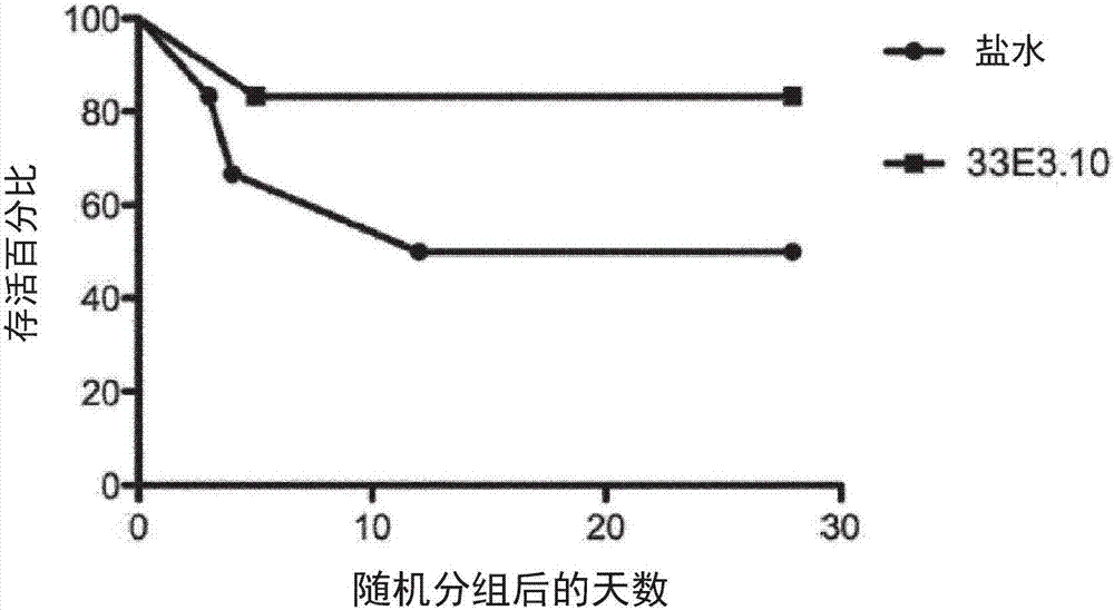 Immunoglobulin-like molecules directed against fibronectin-eda