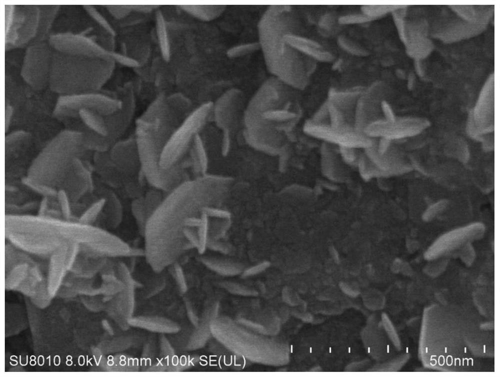 A kind of in-situ self-assembled nano flower-like cobalt disulfide/rgo composite material and its preparation method and application