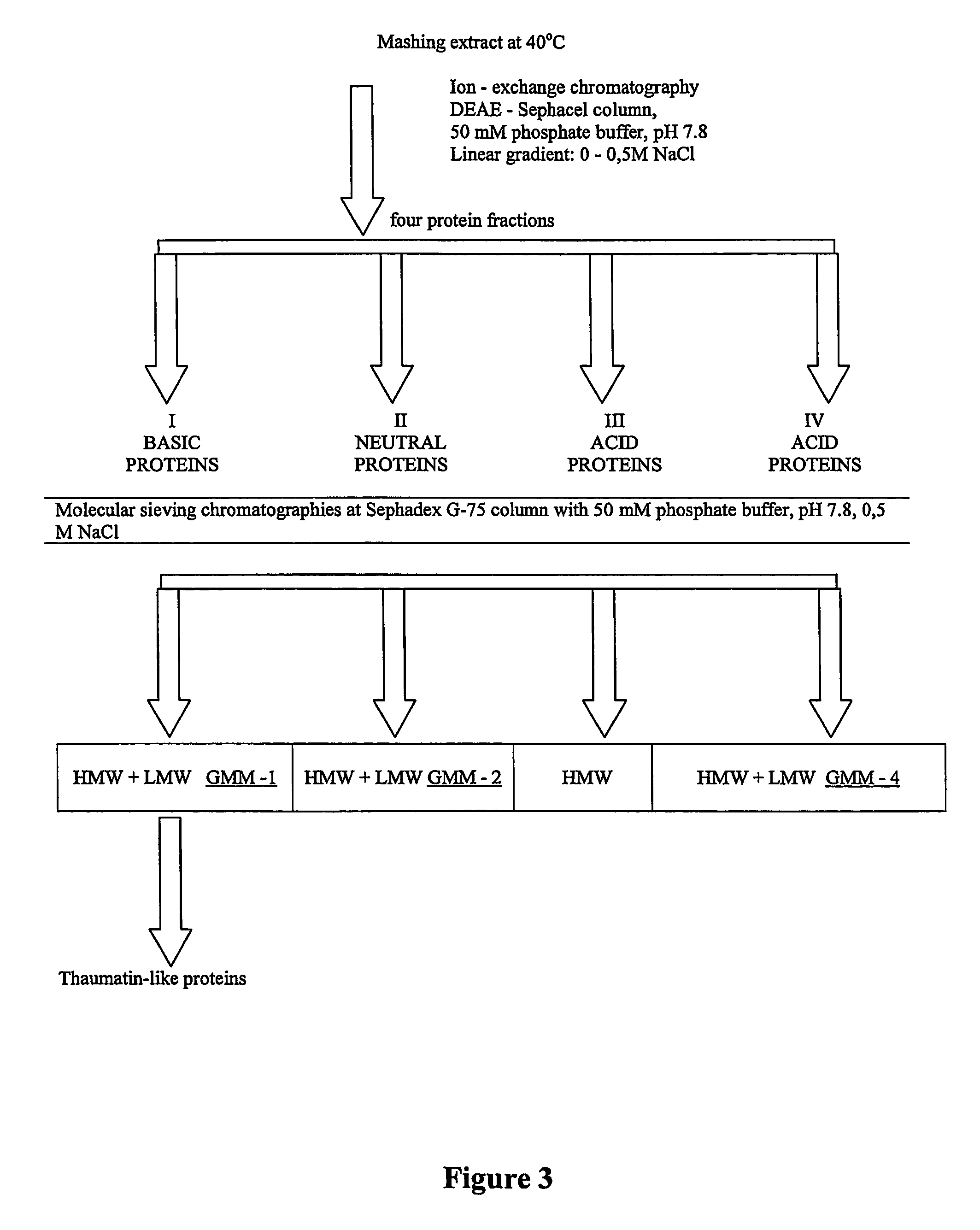 Compositions and methods for treating NIDDM and other conditions and disorders associated with AMPK regulation