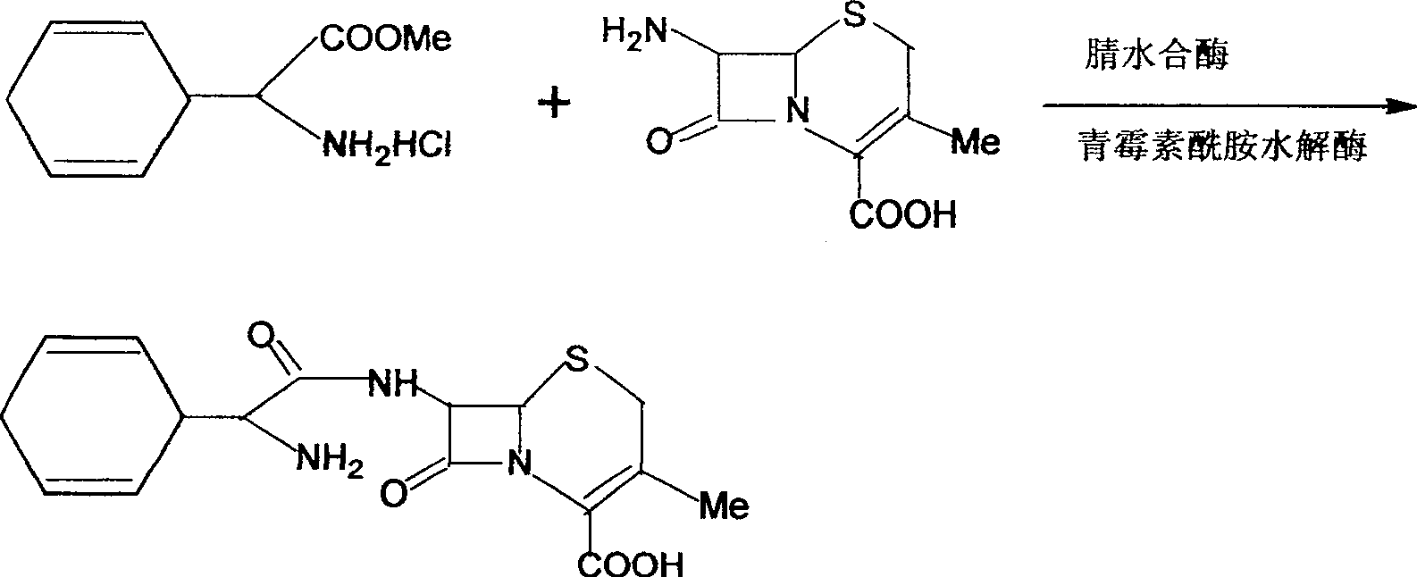 Cefradine preparing process