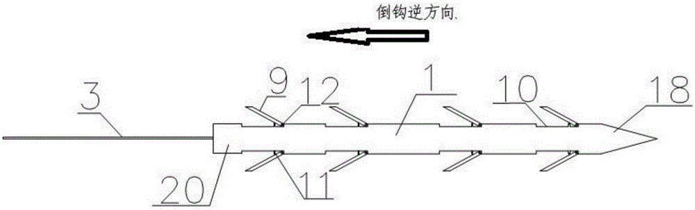 Net-rope-and-plug-linked-type landscape anchoring device used for preventing falling type dangerous rock