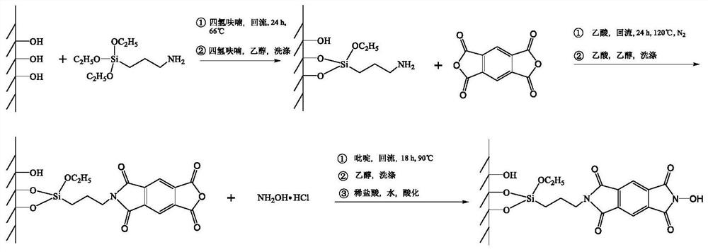 Imide bond grafted NHPI catalyst, preparation method and application thereof