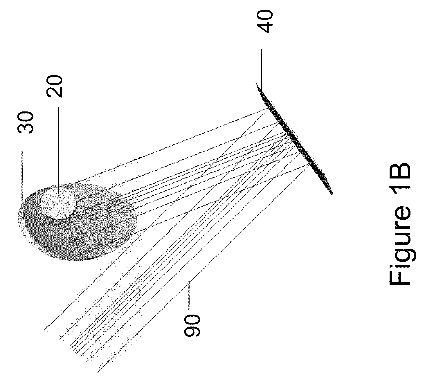 All reflective apparatus for injecting excitation light and collecting in-elastically scattered light from a sample