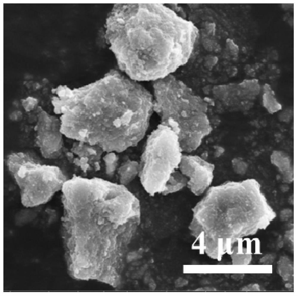 Titanium dioxide photocatalytic material as well as preparation method and application thereof