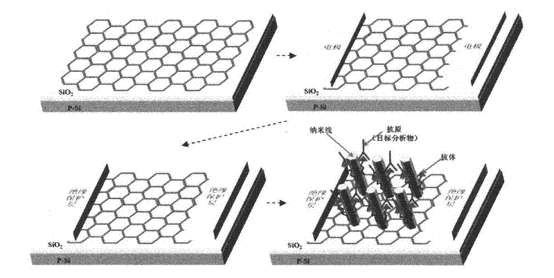 Manufacture and application method for graphene transistor and biosensor of graphene transistor