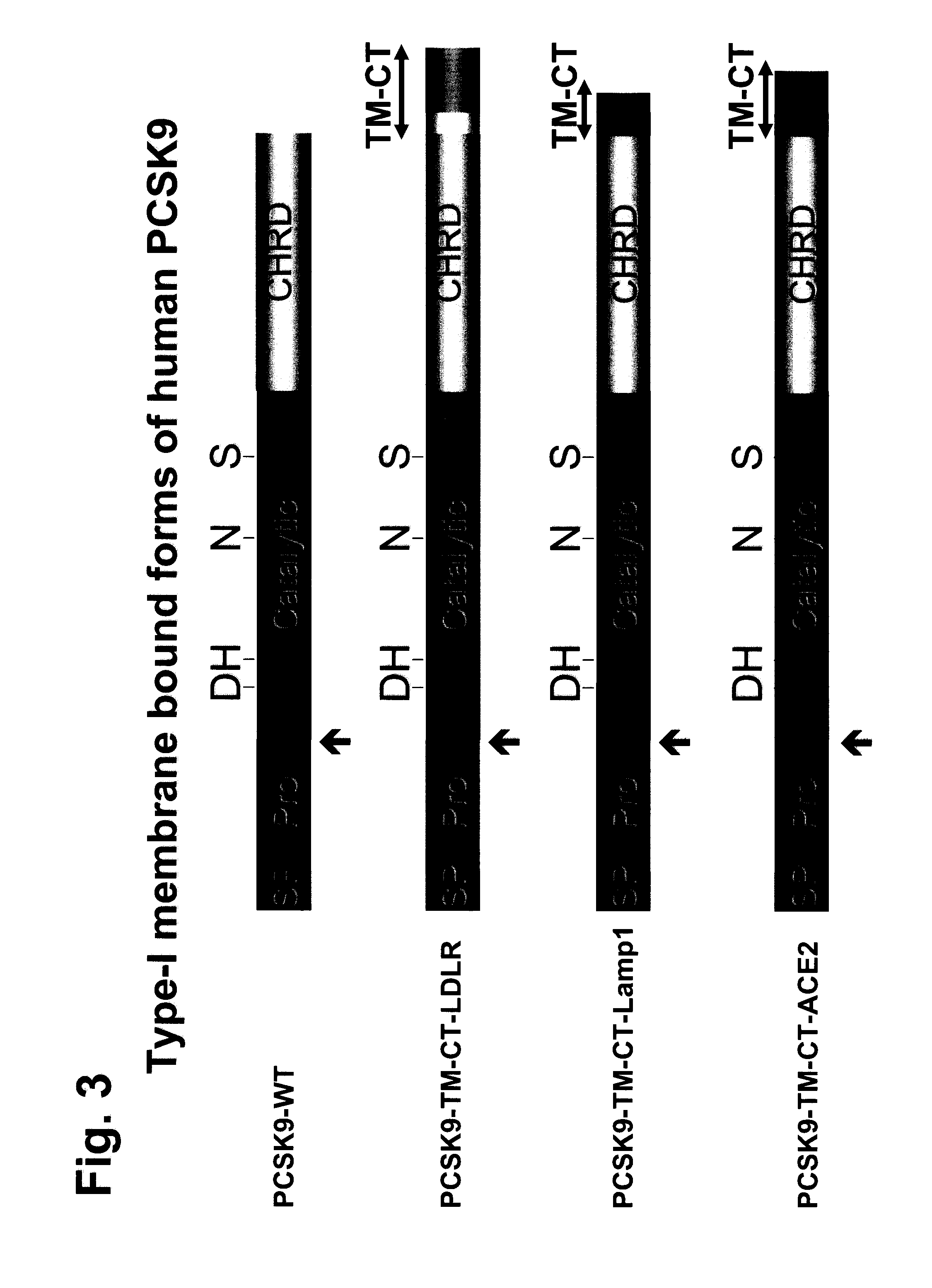 Chimeric PCSK9 proteins, cells comprising same, and assays using same