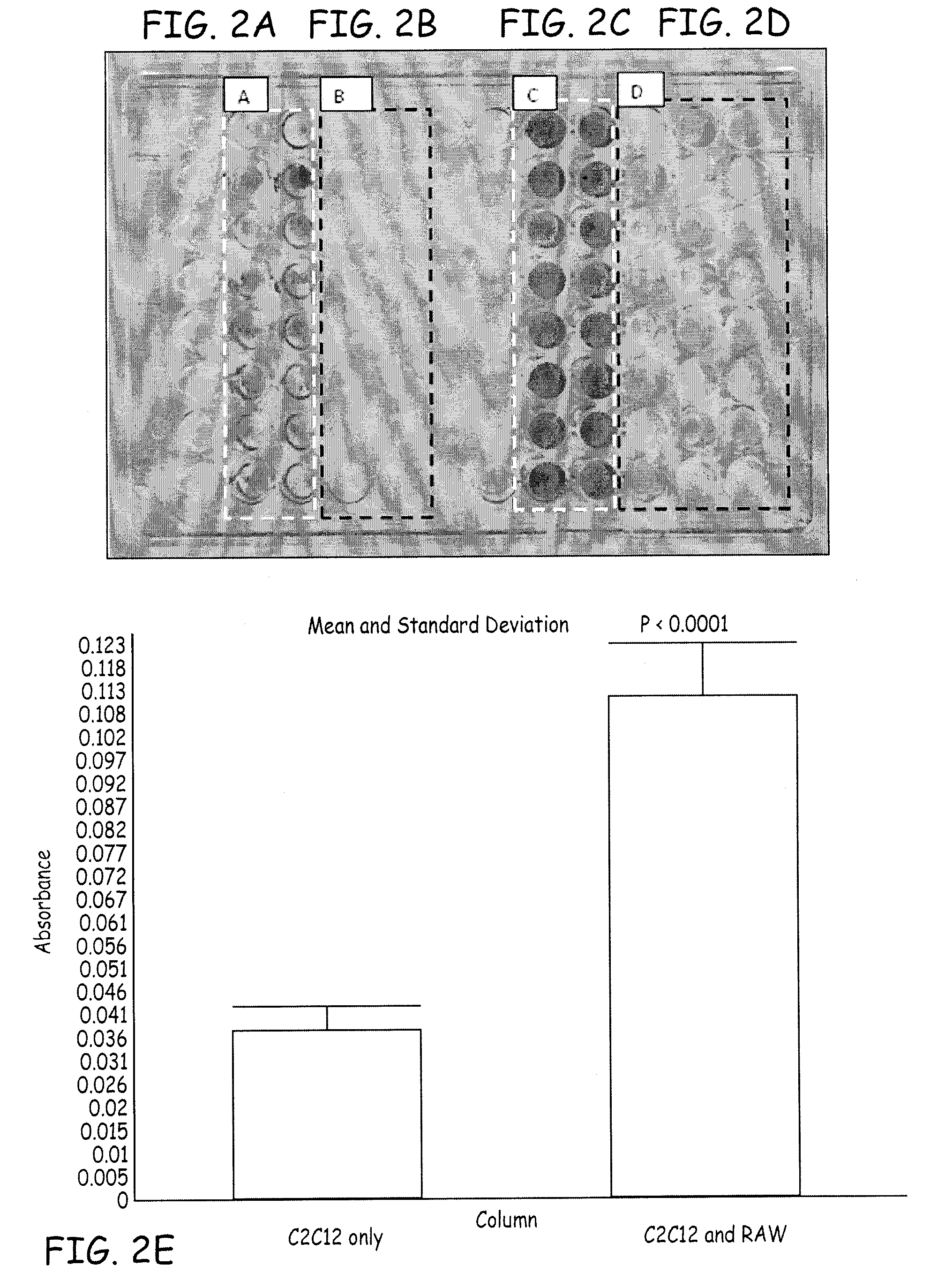 Compositions and methods for promoting bone formation