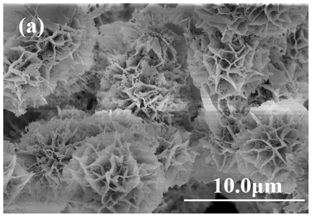 Preparation method and application of foamed nickel loaded nitrogen phosphorus oxygen/nickel phosphide flower-like material