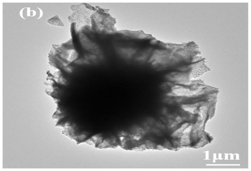 Preparation method and application of foamed nickel loaded nitrogen phosphorus oxygen/nickel phosphide flower-like material