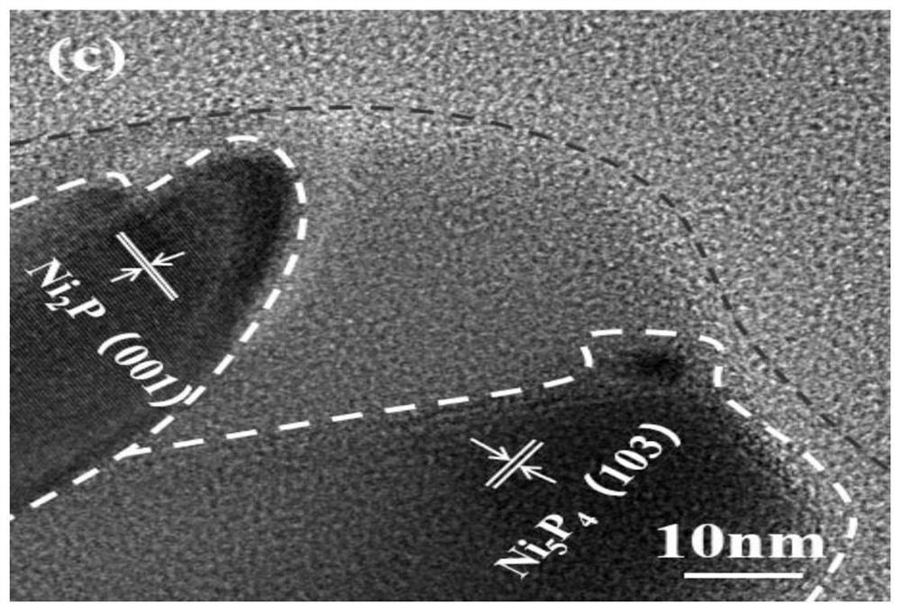 Preparation method and application of foamed nickel loaded nitrogen phosphorus oxygen/nickel phosphide flower-like material