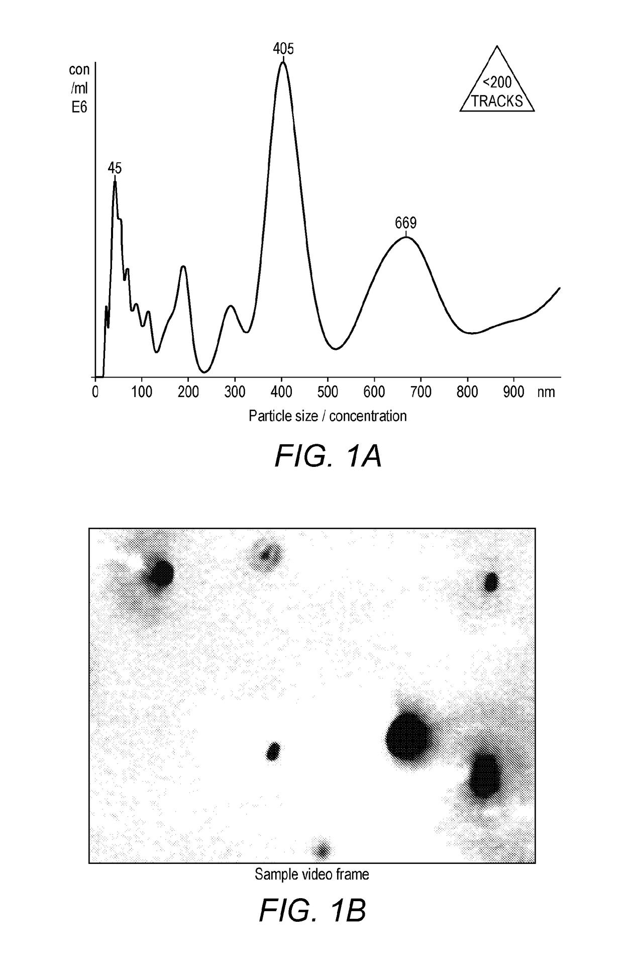 Composition and methods of treatment