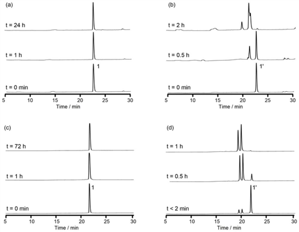 Mirror image protein information storage and coding technology