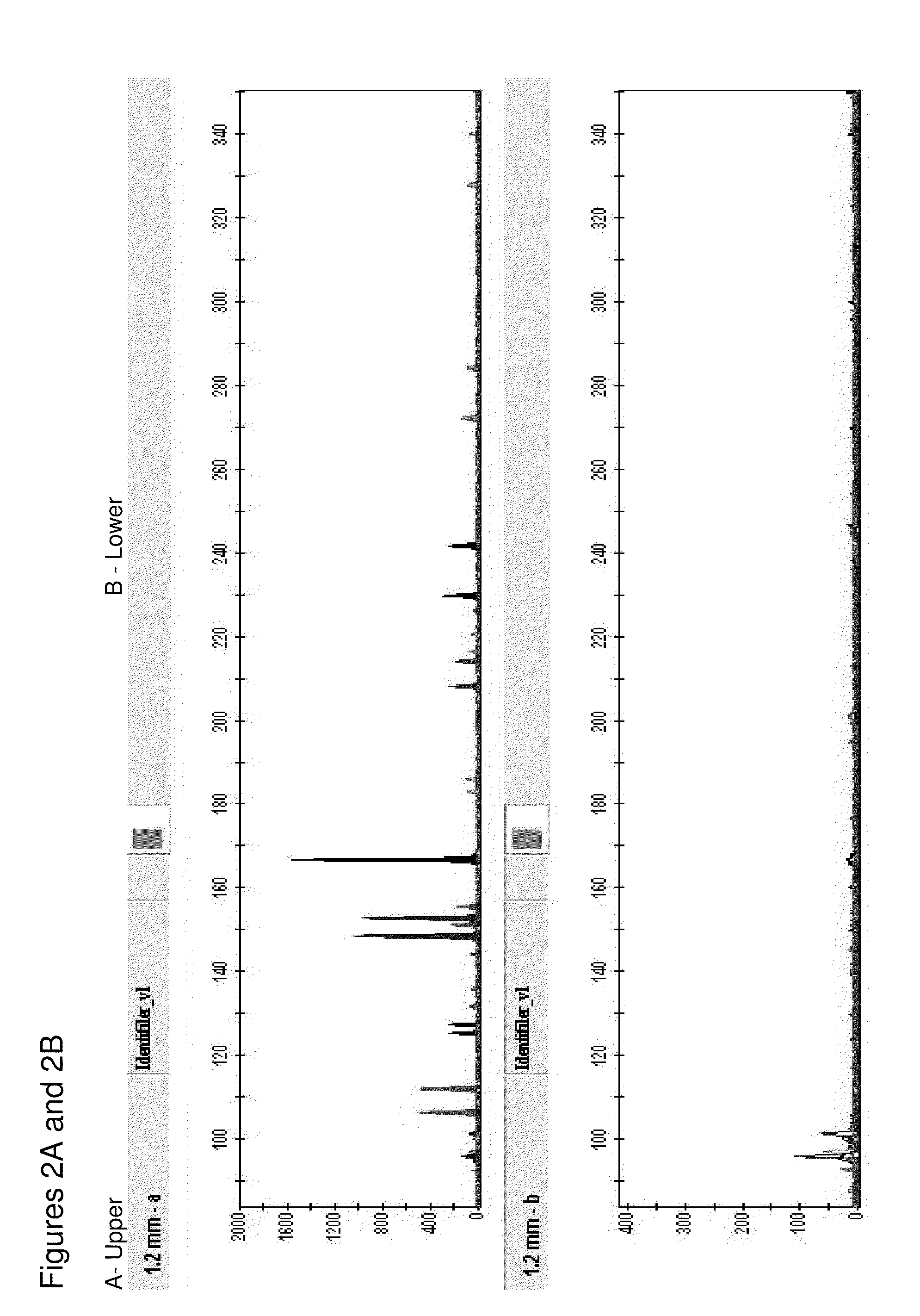 Method for direct amplification from crude nucleic acid samples
