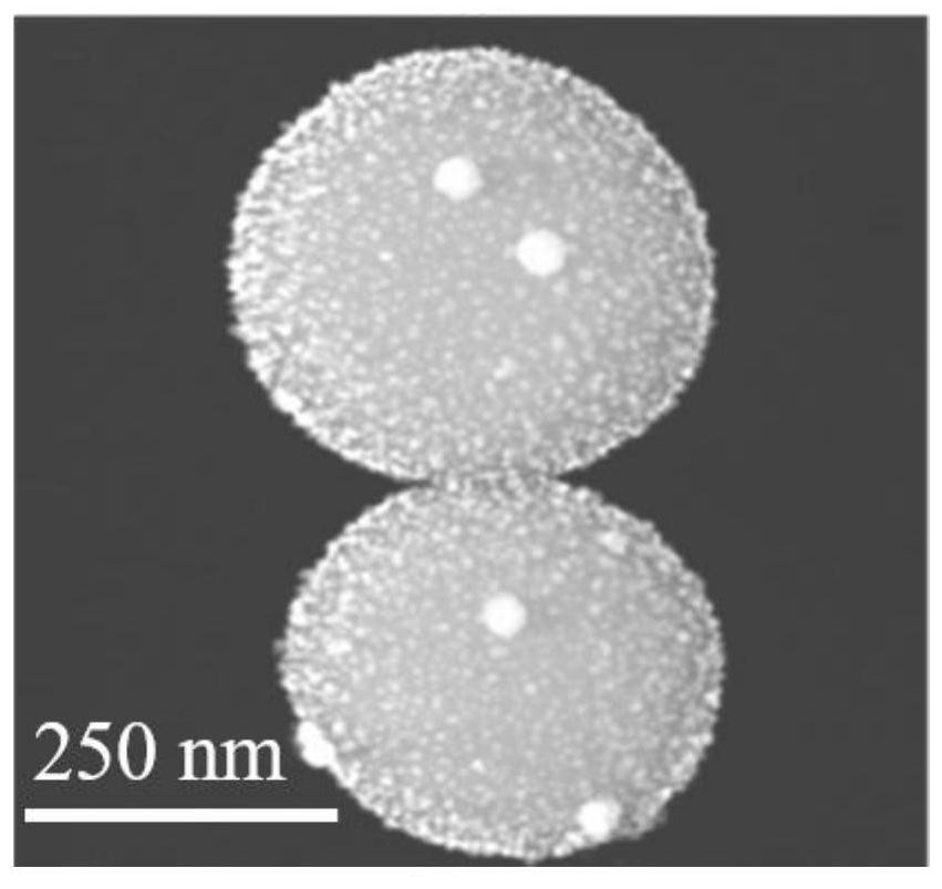 Biosensor based on silver@polydopamine nanosphere composite structure and preparation method