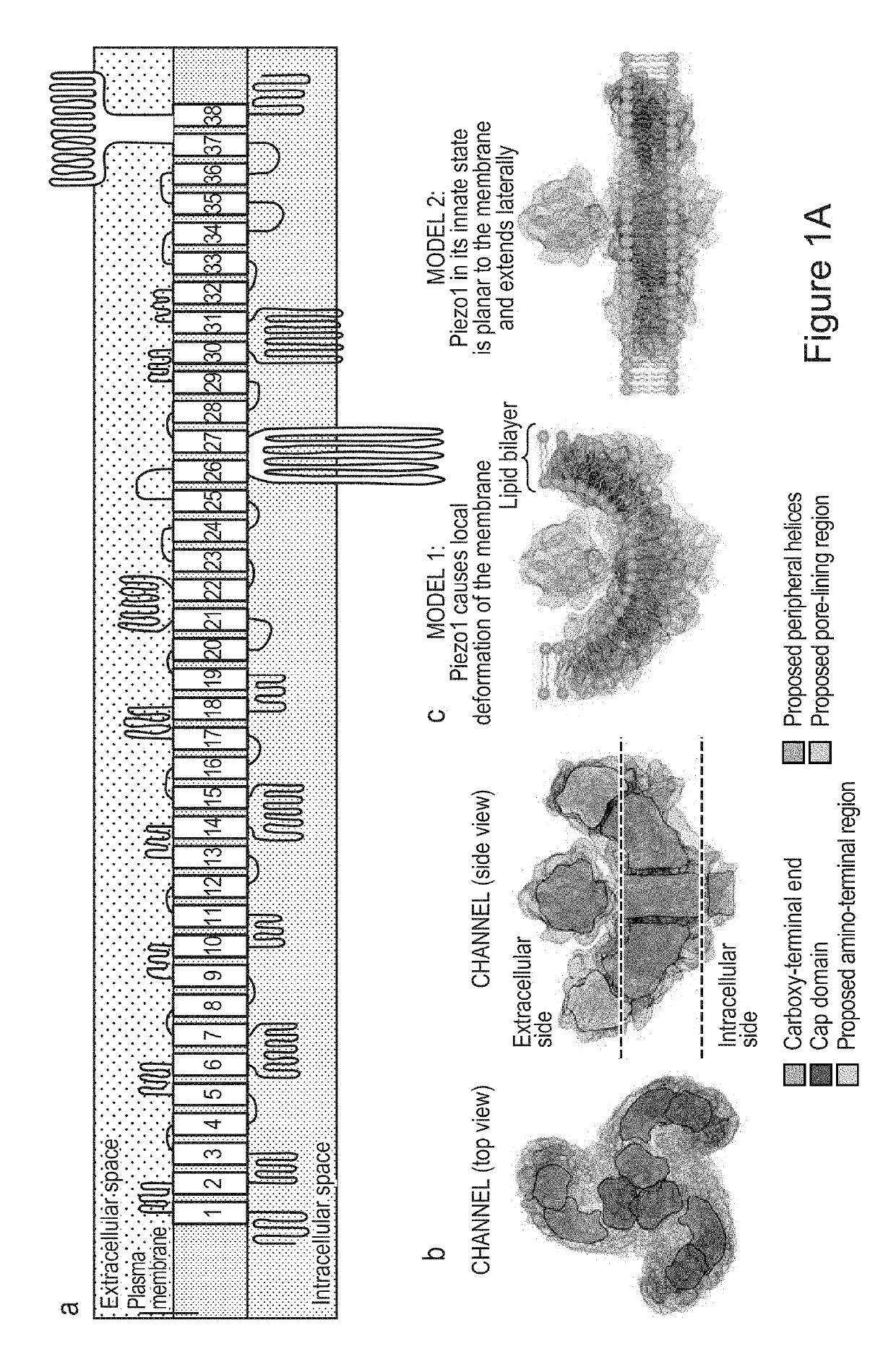 Devices and methods for treatment of anxiety and related disorders via delivery of mechanical stimulation to nerve, mechanoreceptor, and cell targets