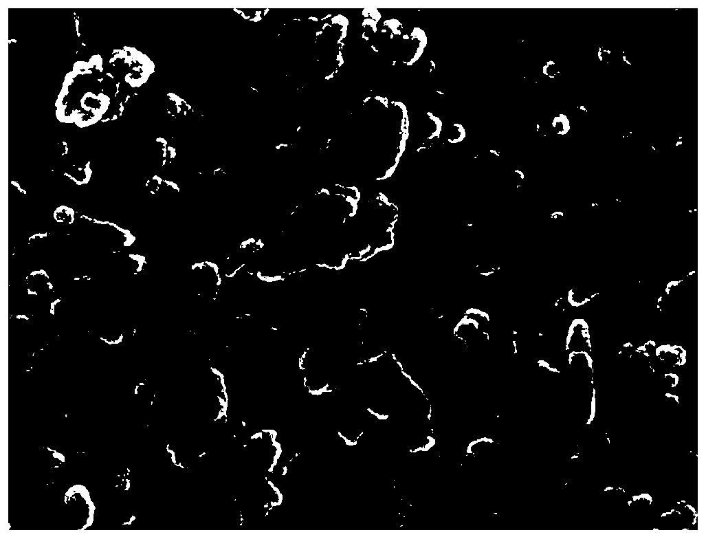 Carbon crystal electrothermal film and preparation method and application thereof