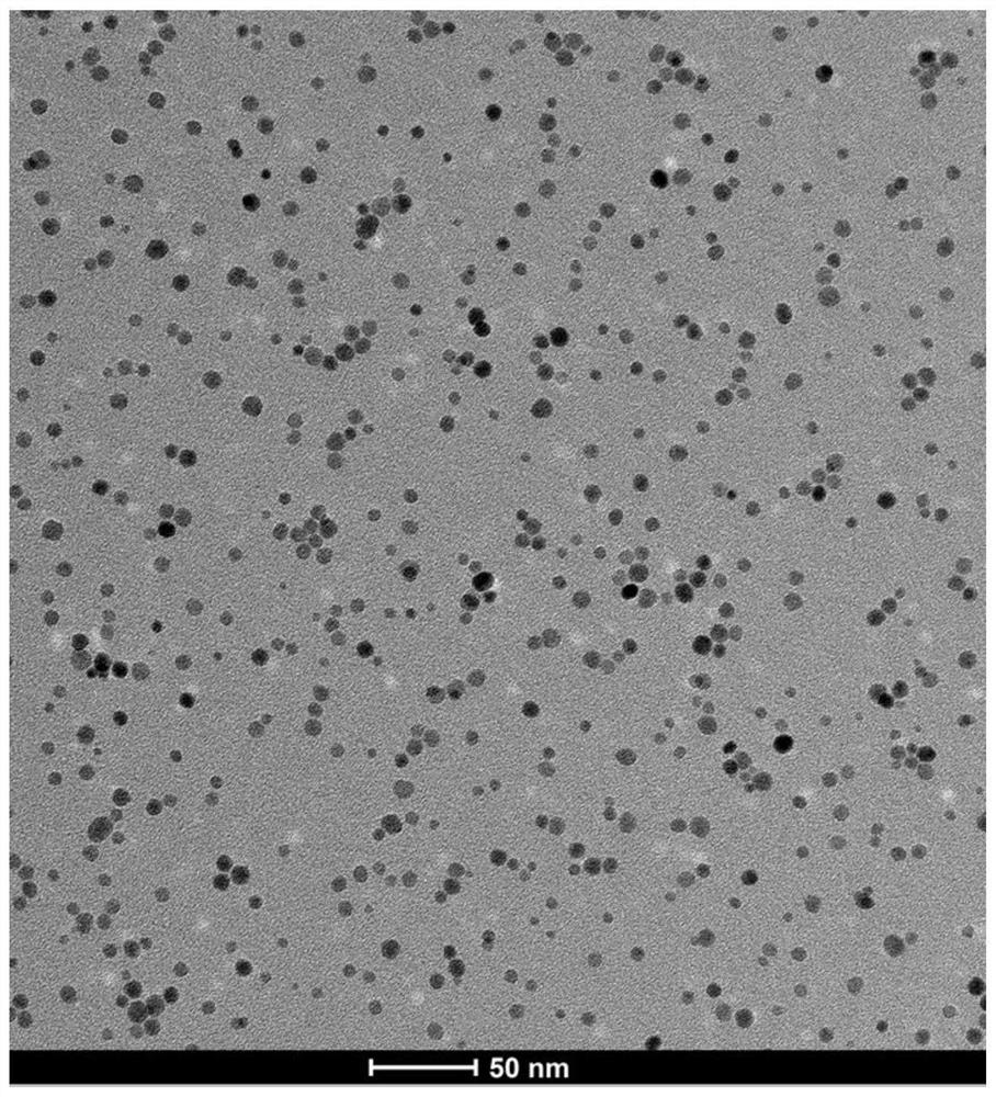 Application of manganous-manganic oxide quantum dots in preparation of anti-inflammatory drugs