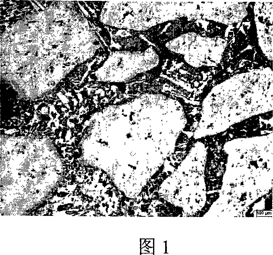 Vacuum solid type cast penetrated method for preparing particle reinforced metal-base surface composite material