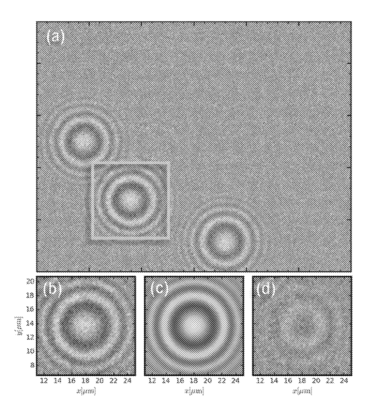 Holographic detection and characterization of large impurity particles in precision slurries