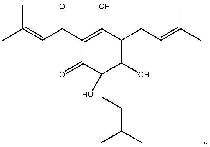 Oral care composition containing hops extract