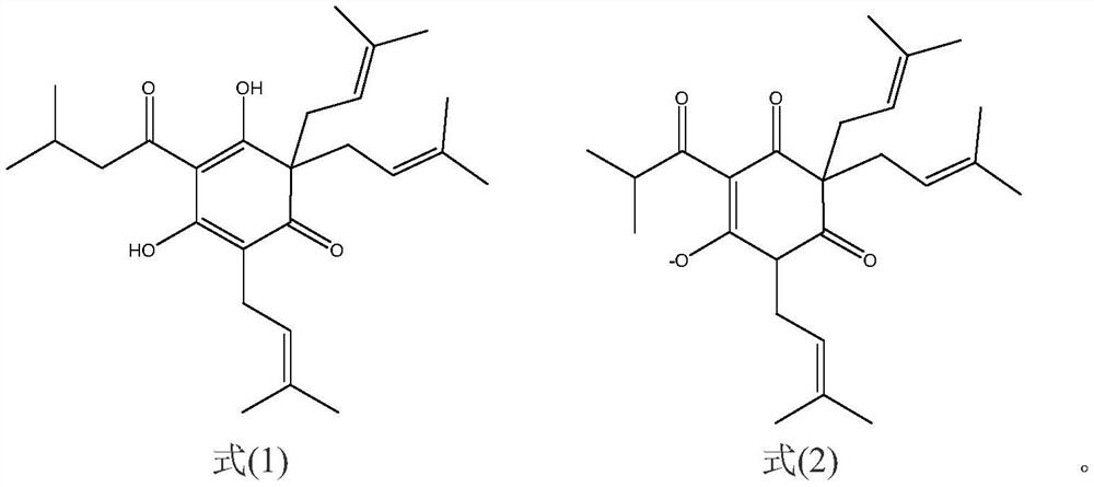 Oral care composition containing hops extract