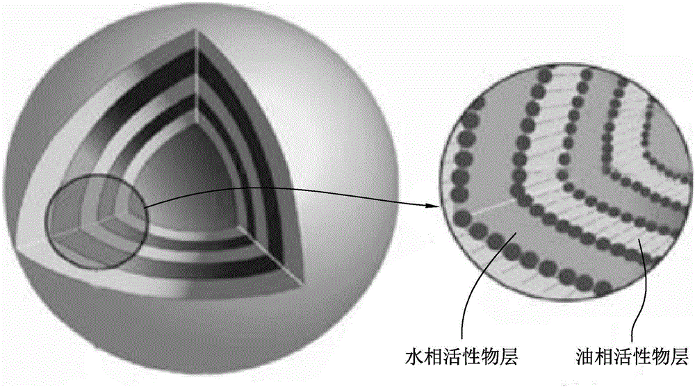 Micro-capsule compound wrapping essential oil and rice fermentation filtrate as well as application