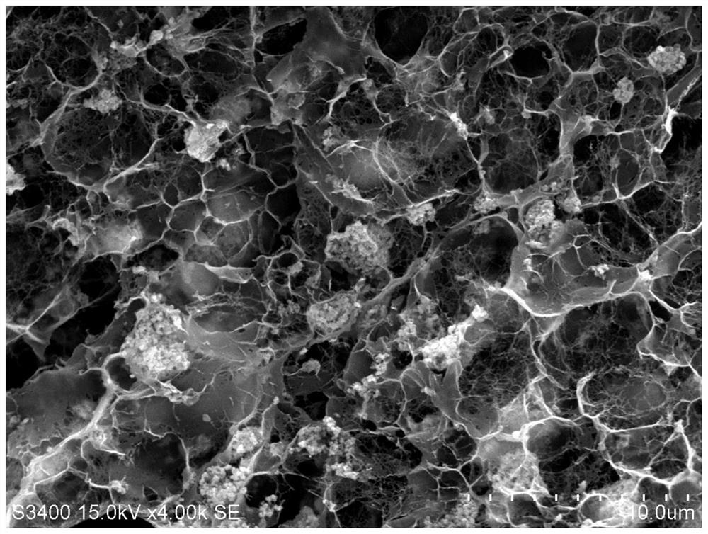 A kind of preparation method for catalyzing the high activity catalyst of glucose isomerization